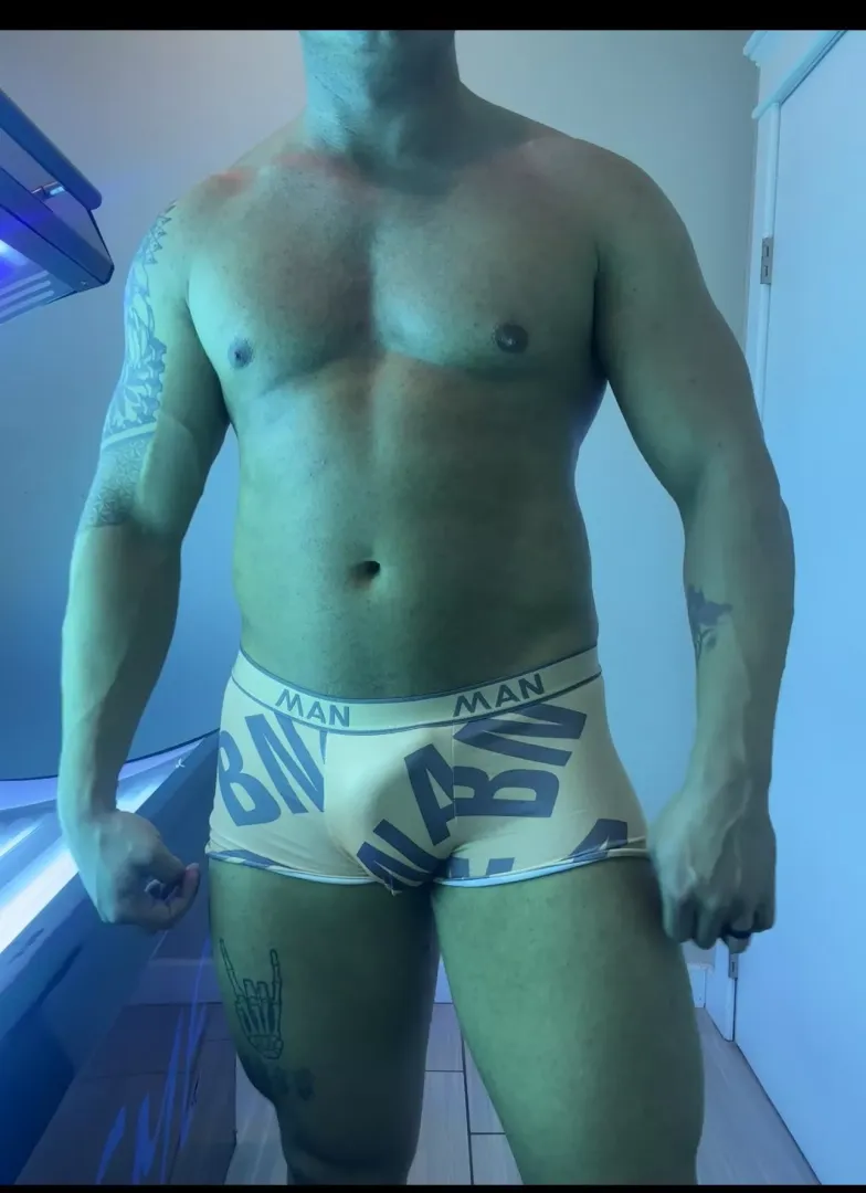 New briefs