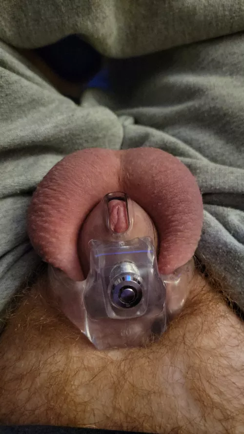 New cage