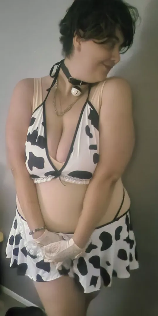 New Cattle in town