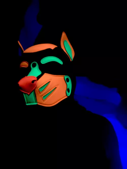 New custom hood! 🐾🐾🥰❤️