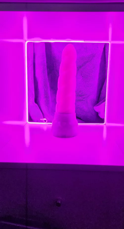New cyberpunk shelf