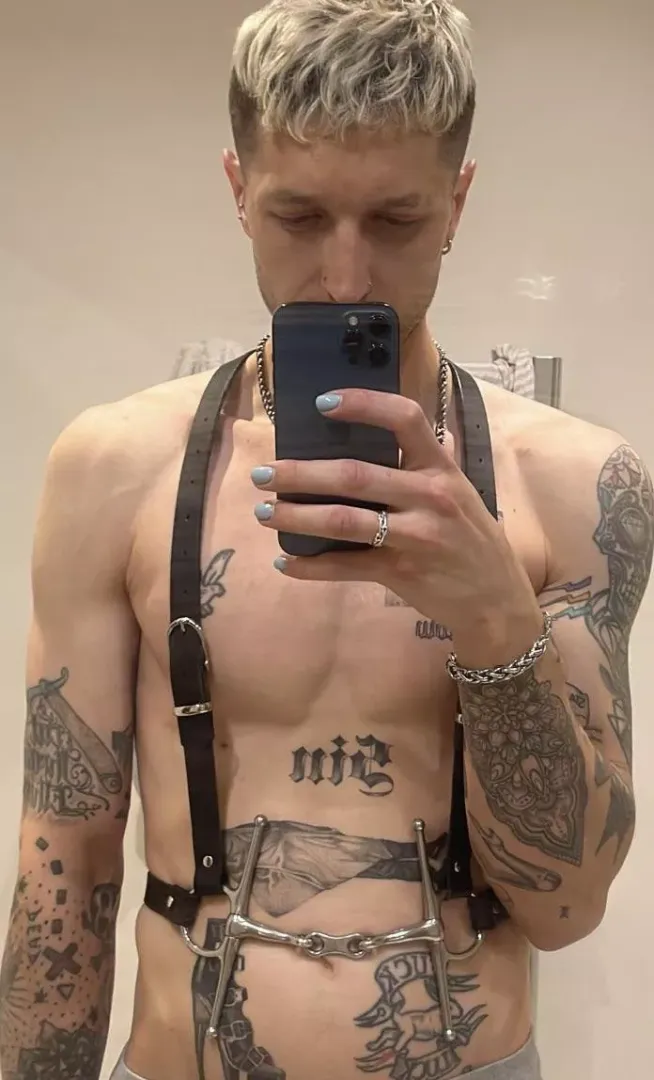 New harness