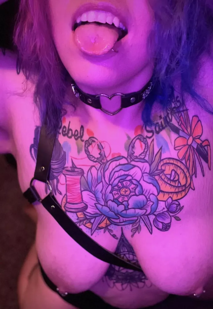 New harness