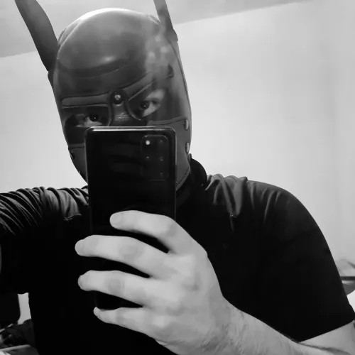 New here. Just saying hi :)