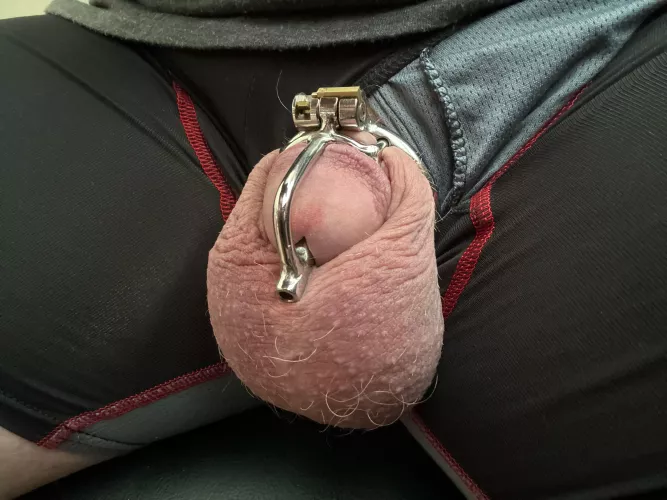 New minimalistic style cage came in today