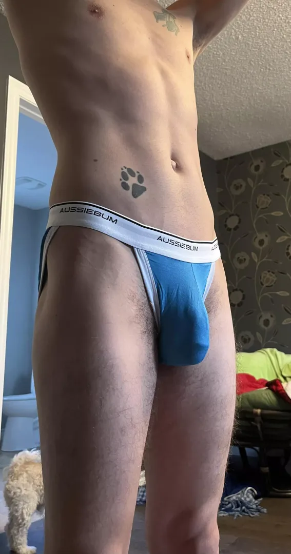 New pair!