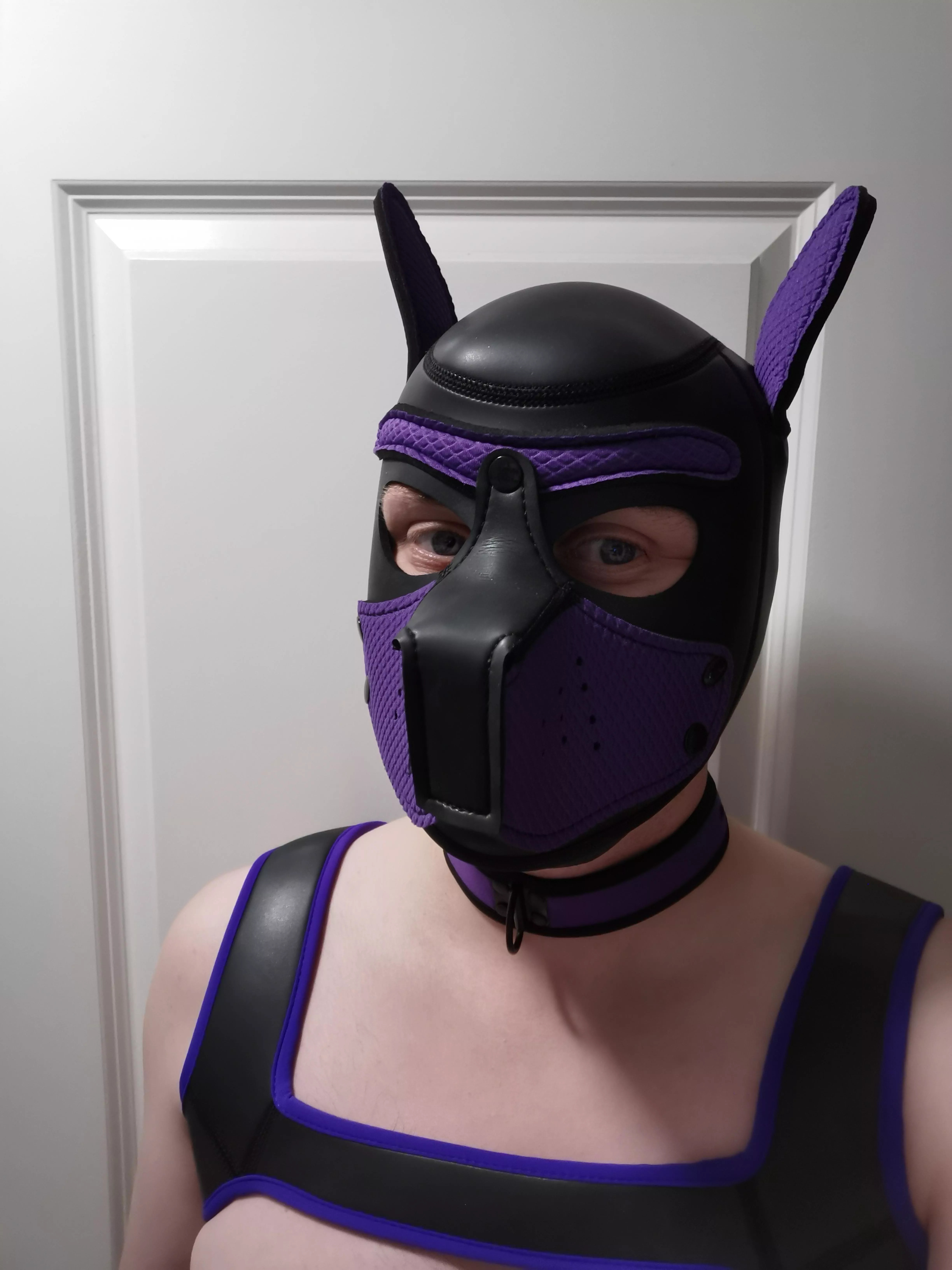 New pup here 🐶 DM's open