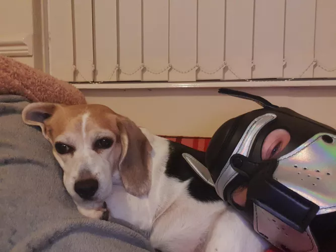 New pup here