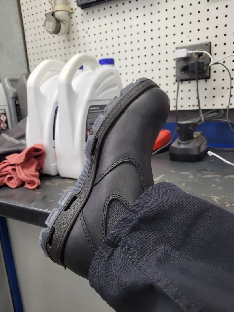 New Redbacks today