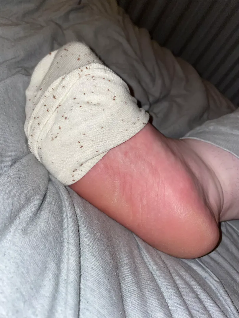 New socks (f)
