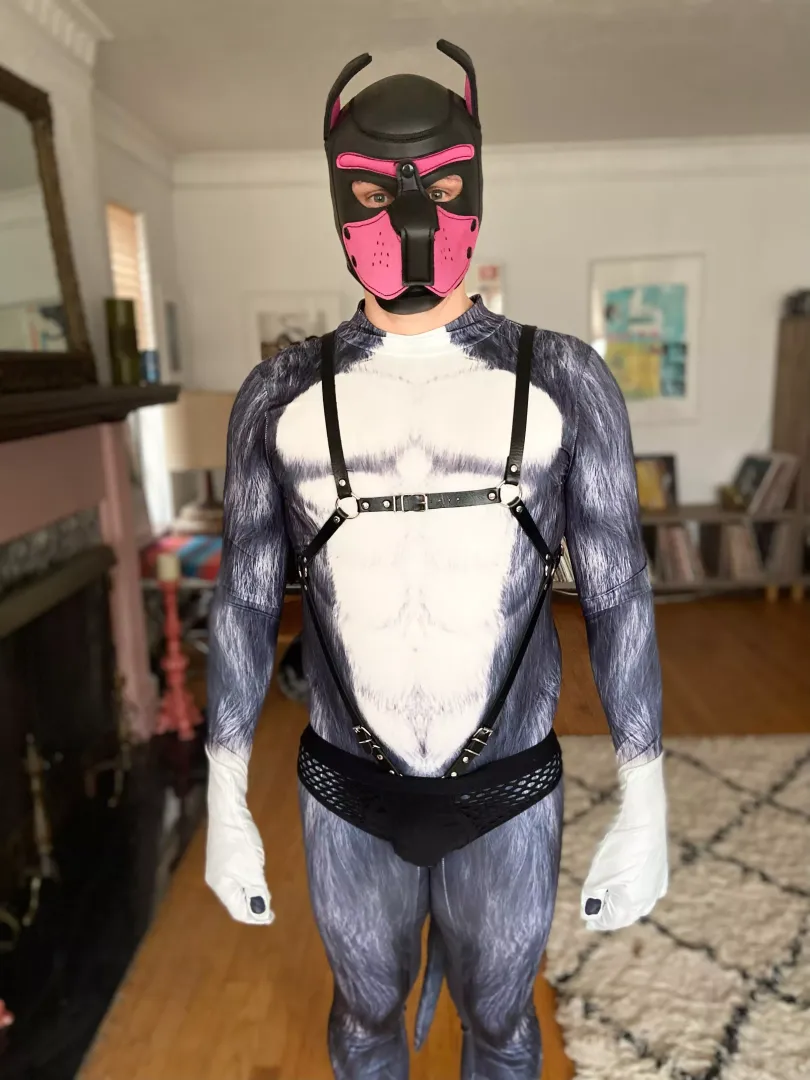 New suit 🐺