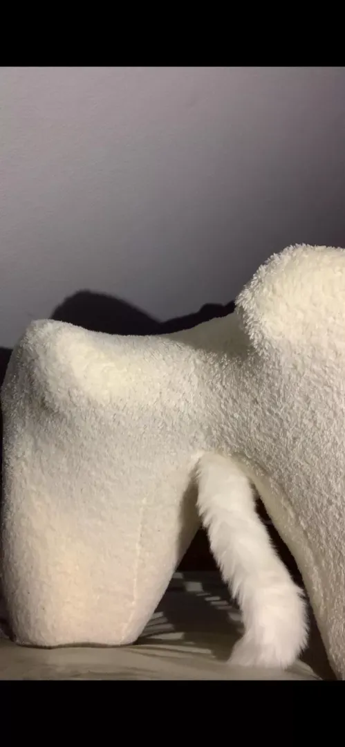 New tailplug and bitchsuit❤️
