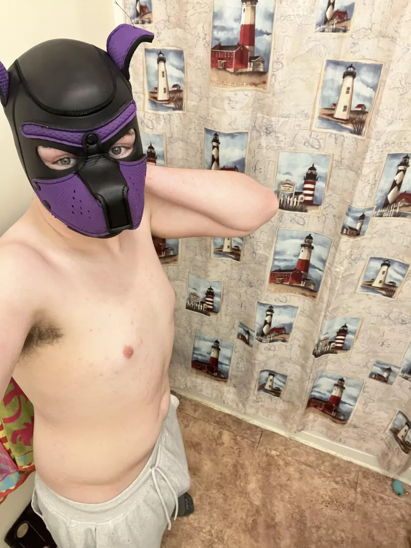 New to this, but I just want to be a good boy