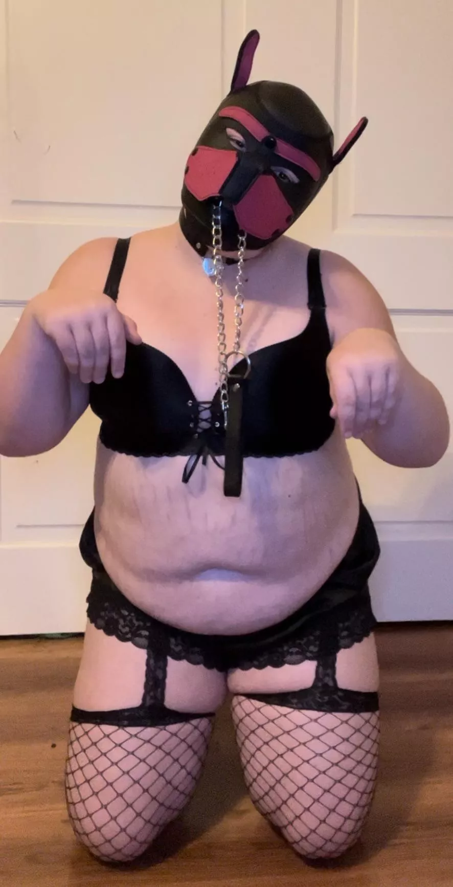 New user! Awoof!!! 🐾💕