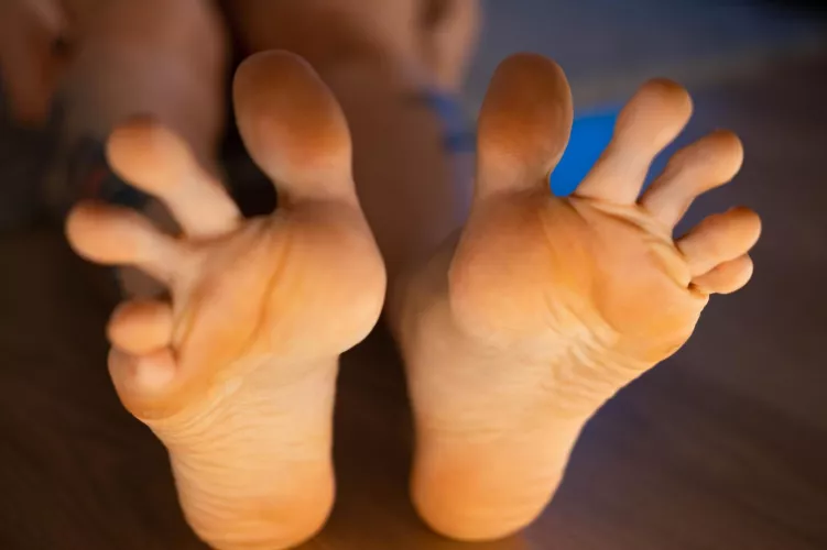 Nibble, Lick, Suck
