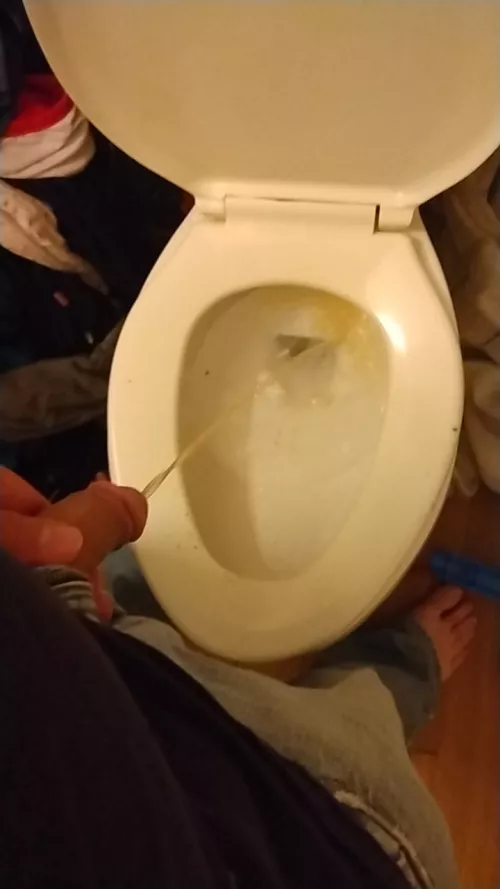 nice and fresh