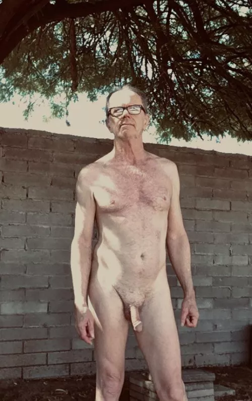 Nice morning in my backyard.