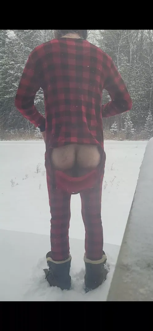 nice snowy morning but breezy for some reason.
