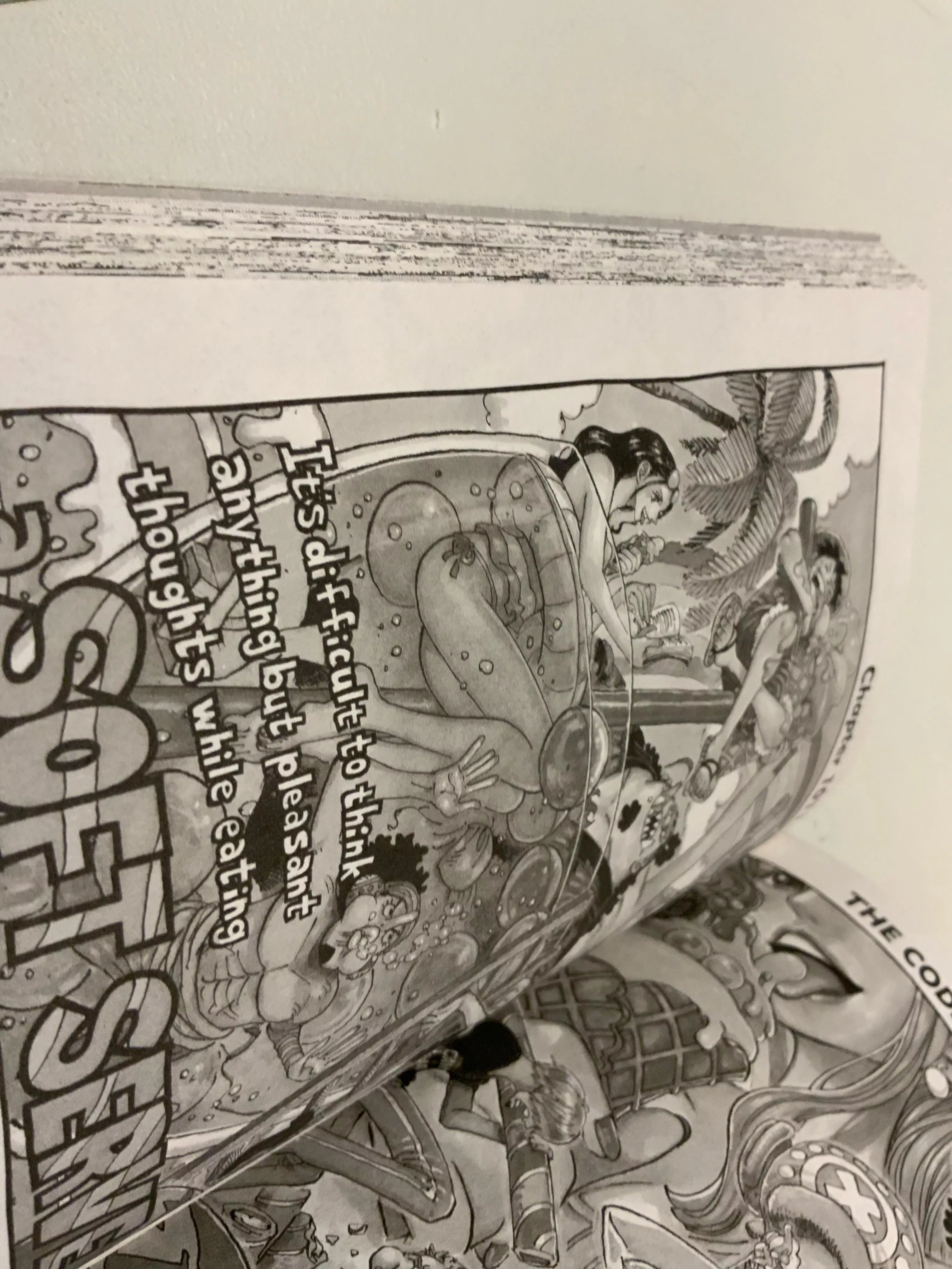 Nico robins panties?