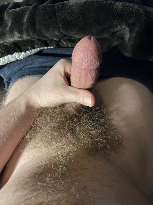 Night bush