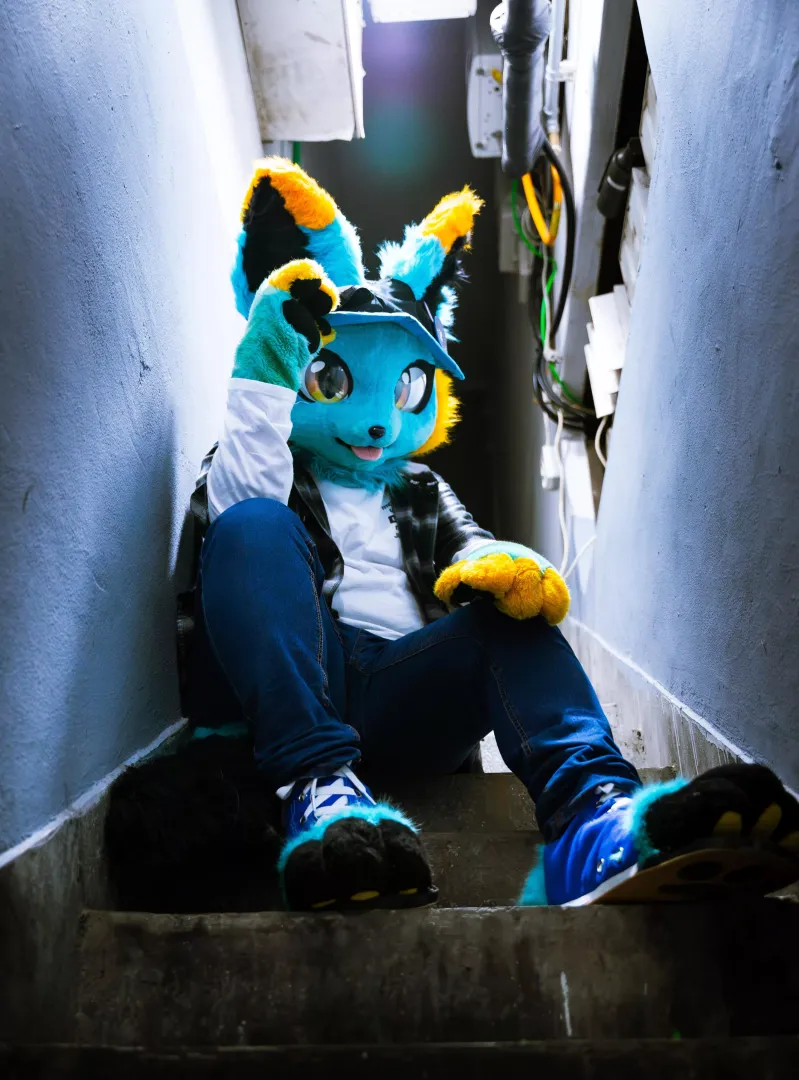 Night Street Fox