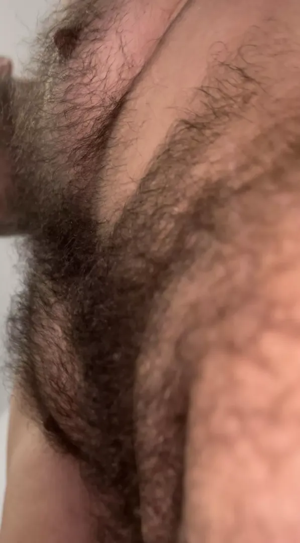 No shave 2022