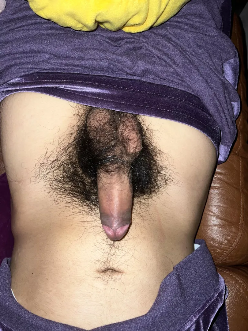 no shave 4 months