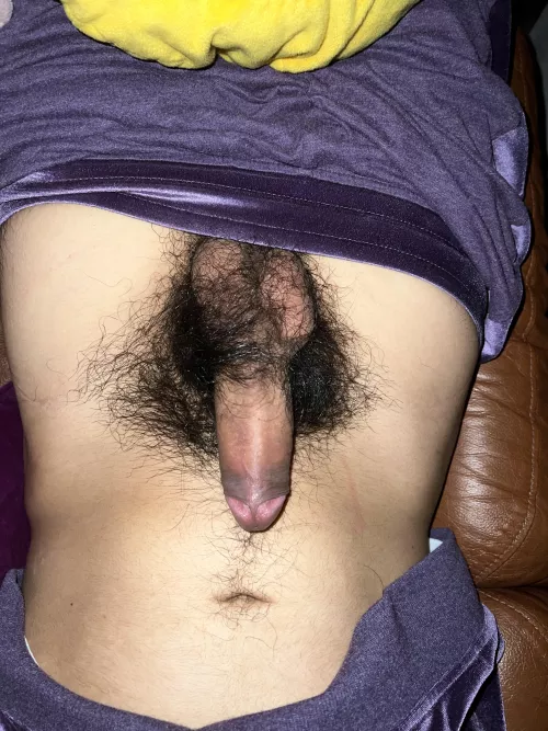 no shave 4 months