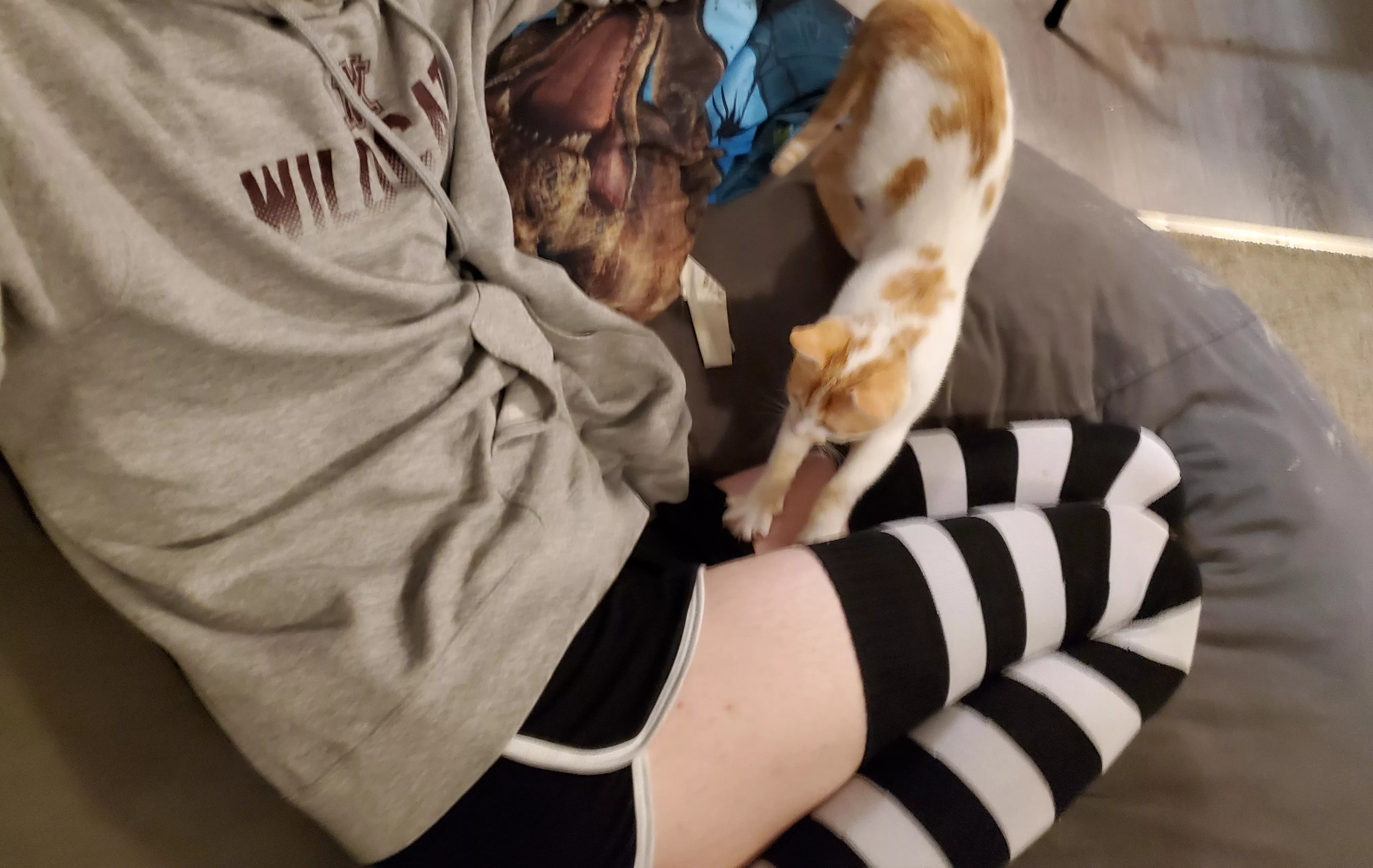 nobody's home = femboy in the living room