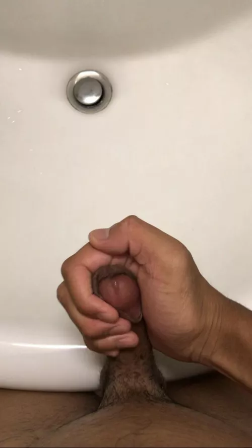 Noce cock