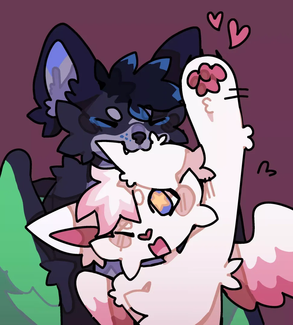nom ❤️