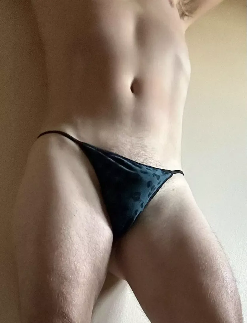 Nothing fancy today