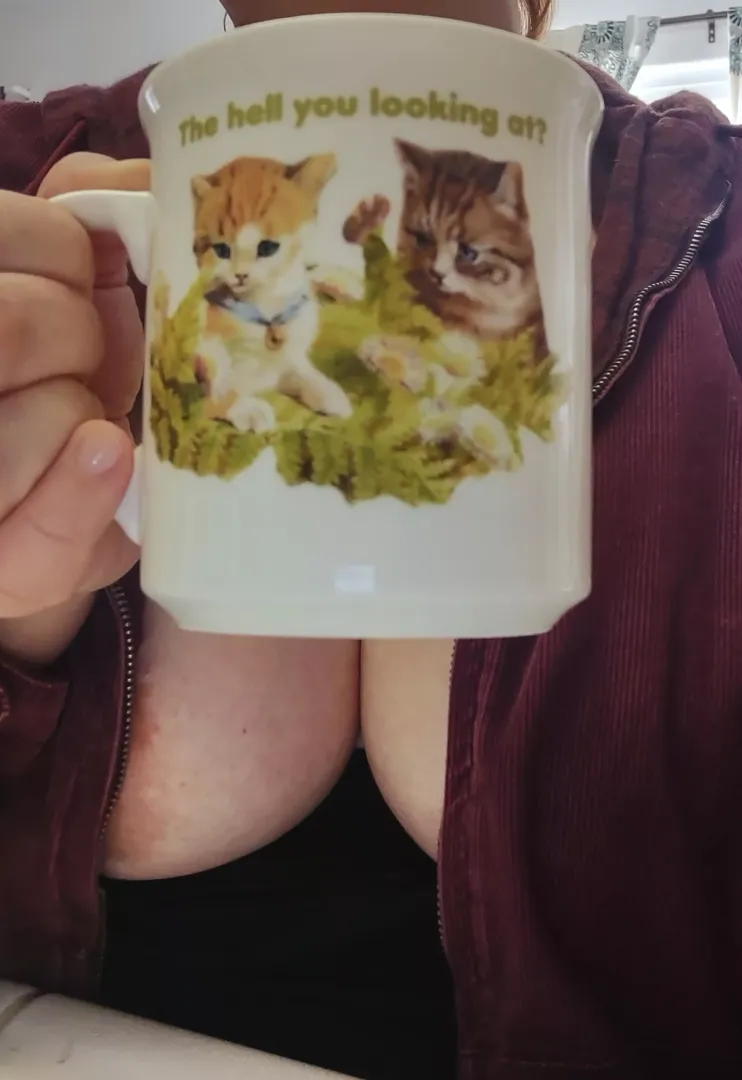 Nothing to see here, just two kitties