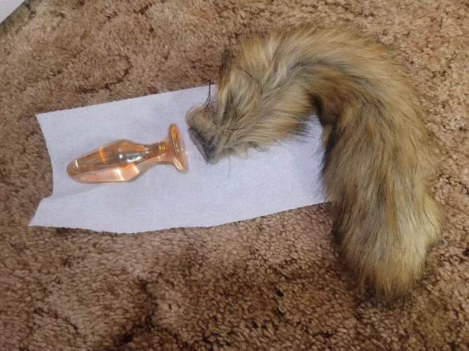 Now I see why pups go more for the silicone tails