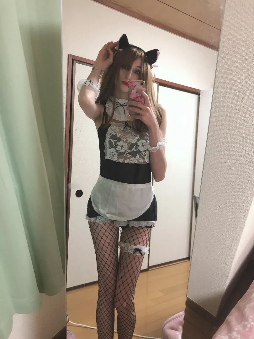 Nyan Nyan at your service