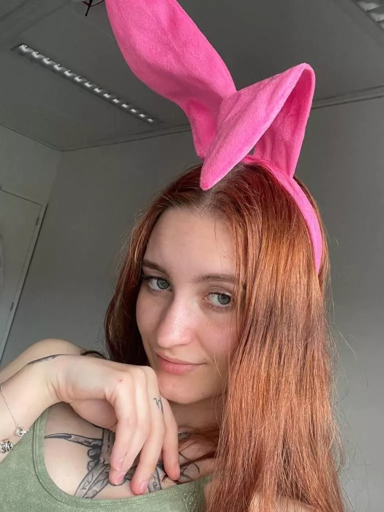 Obedient bunny at your service