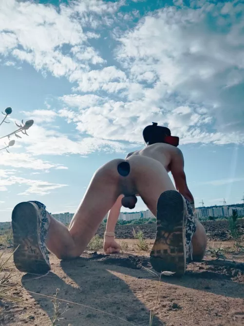 Obedient puppy on a walk