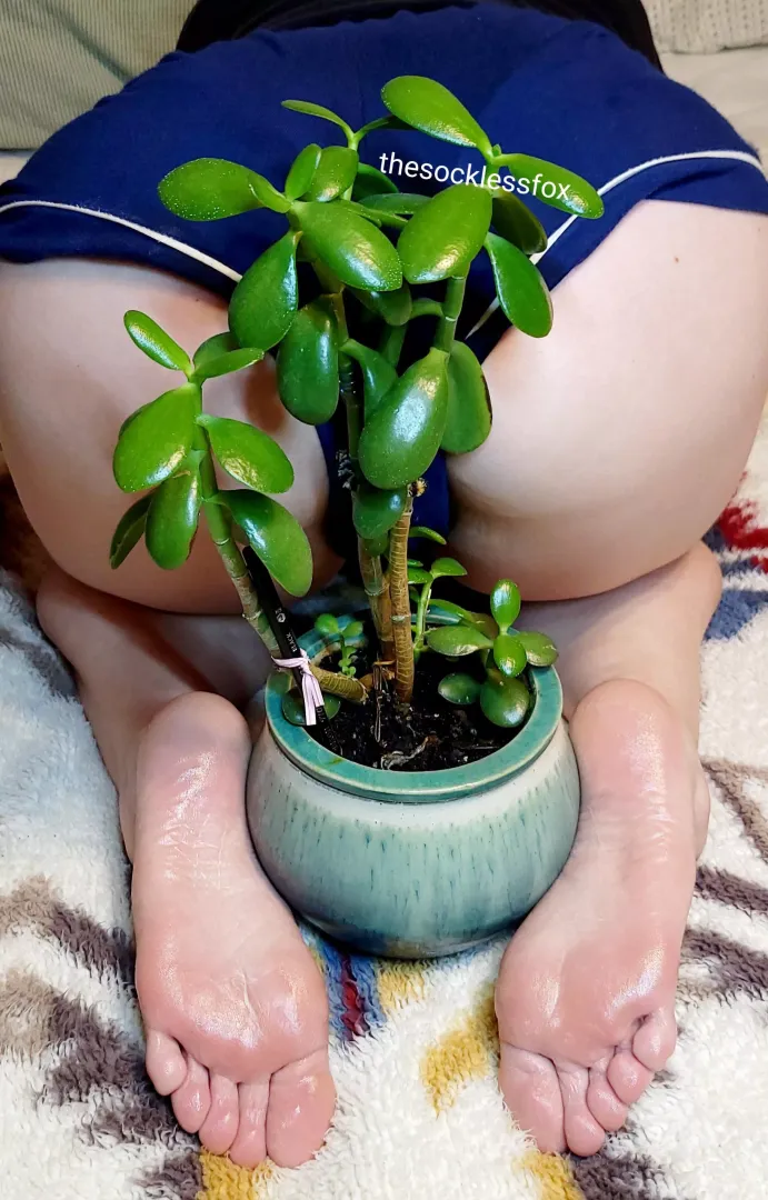 OC Jade