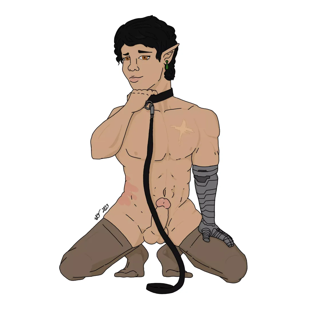 [OC] Z Leashed