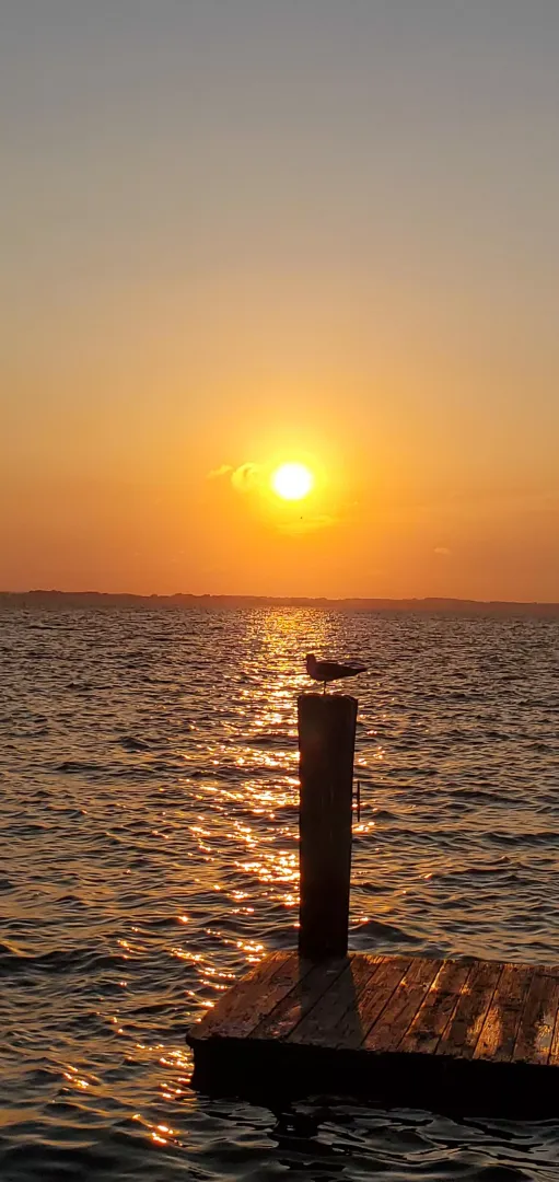 Ocean City MD