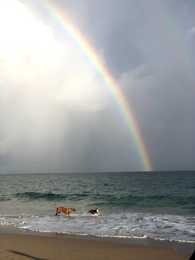Ocean Park Beach, San Juan 🇵🇷