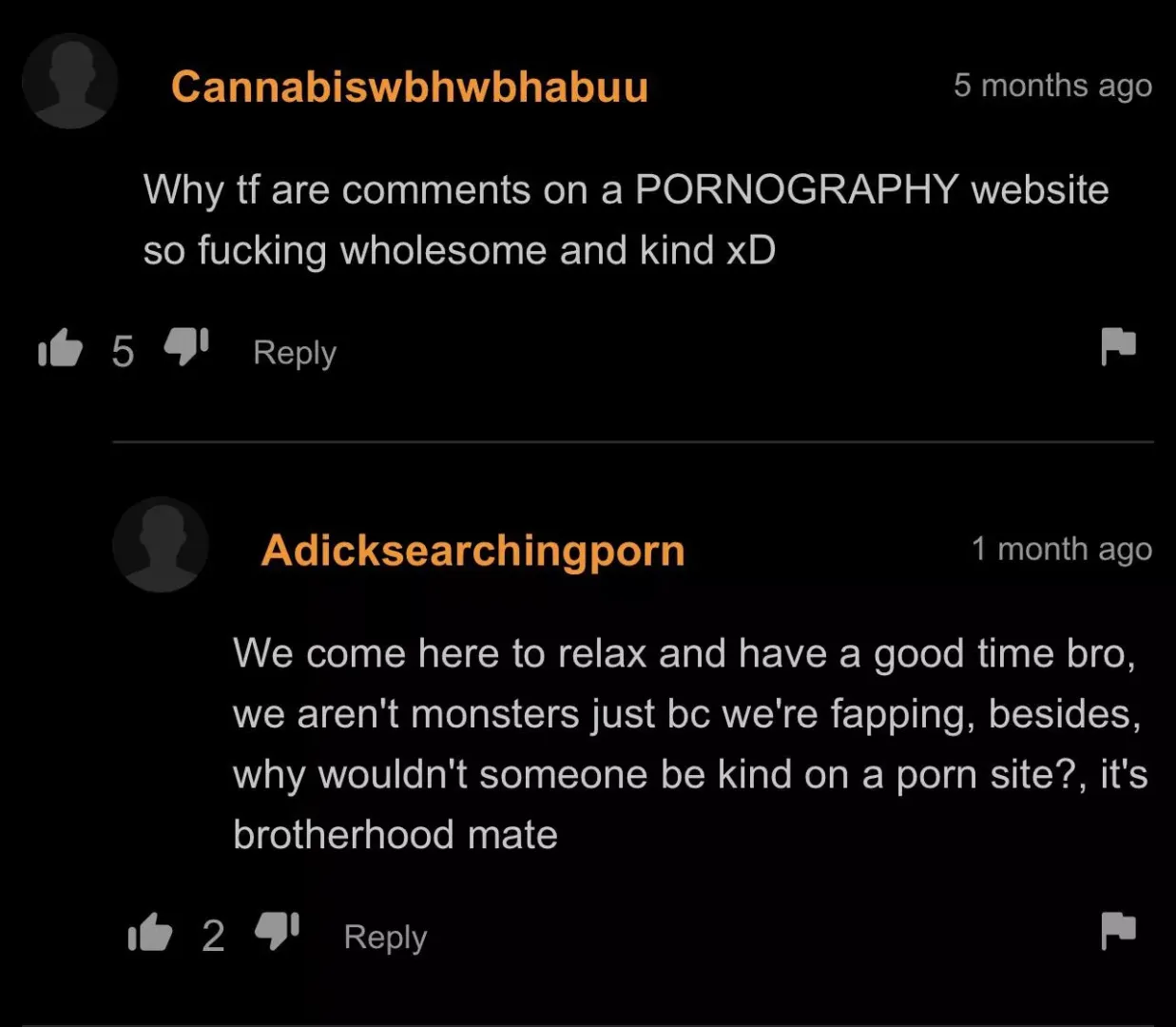 Oddly wholesome