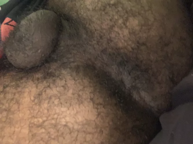 Oink! 🐽💛