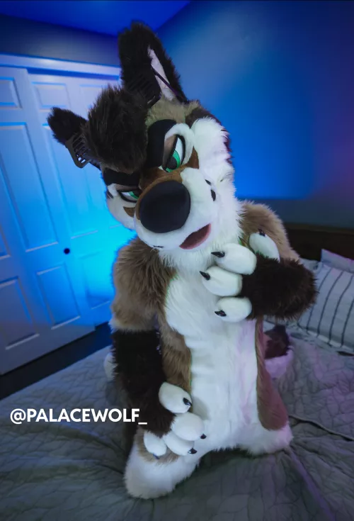 On a scale from 1 to 10, how hard would you snuggle this boy???