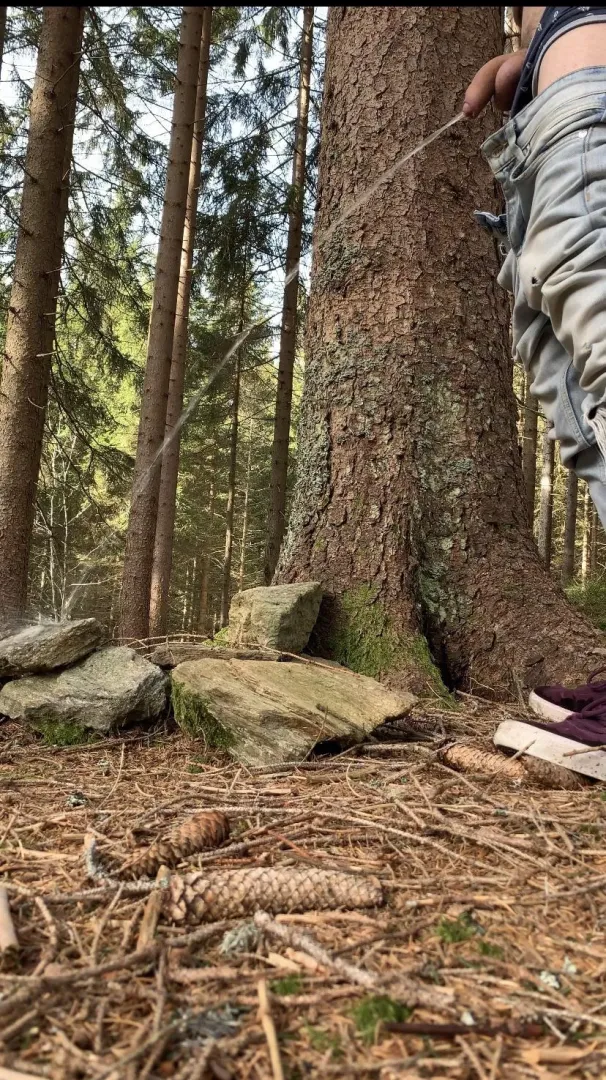 On a walk in a forest. Hands free pissing