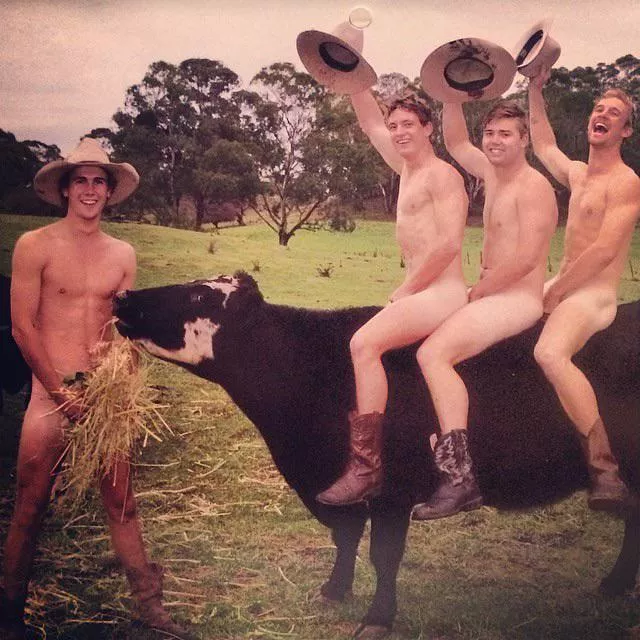 on the farm