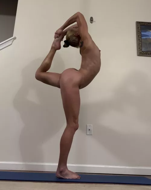 One legged king pigeon