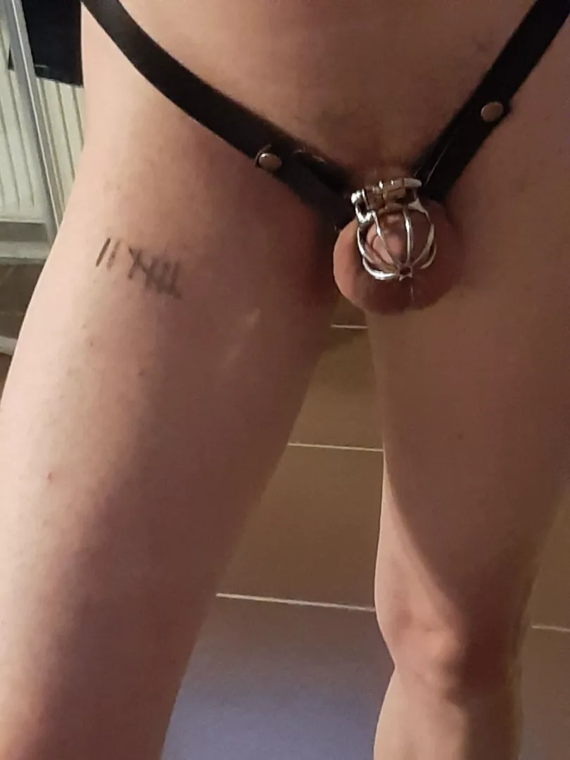 One week, I need someone to fuck the cum out of me