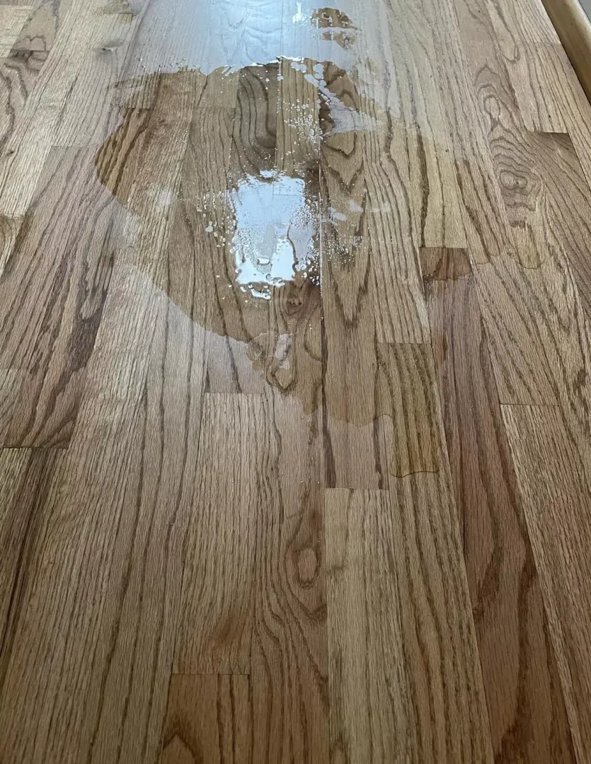 Oops made a mess 😇