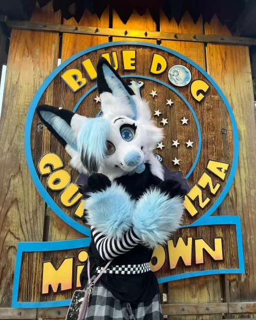 Opened my own Pizza place! (just kidding I’m a dog I can’t cook)